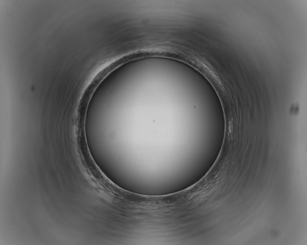 X0000091580724200708201013