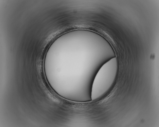 X0000091580725200708201013