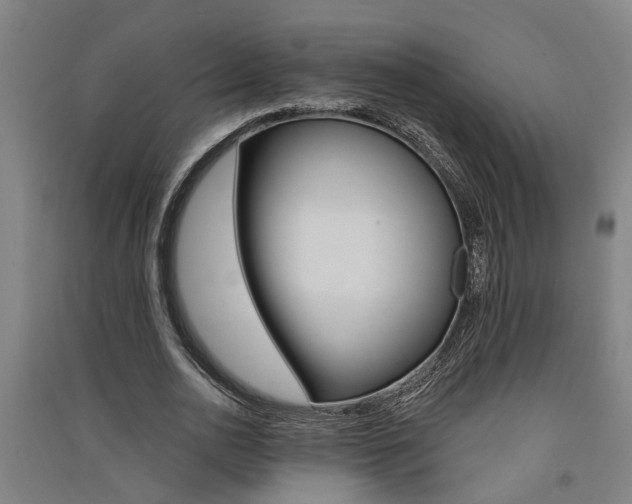 X0000091580726200708201013