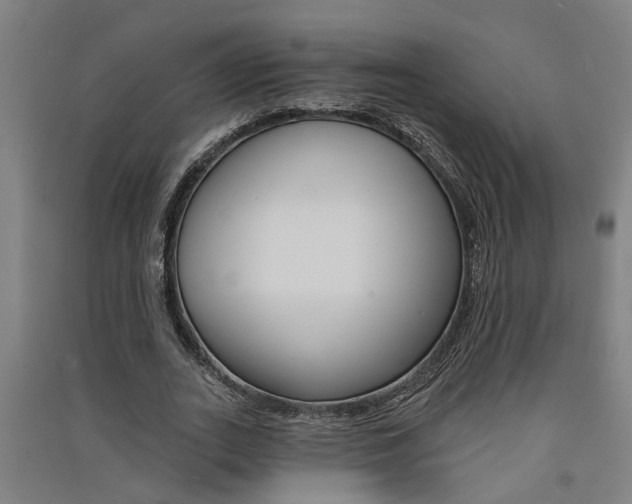 X0000091580727200708201013