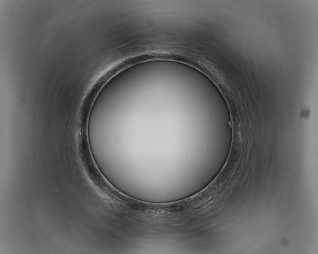 X0000091580728200708201013