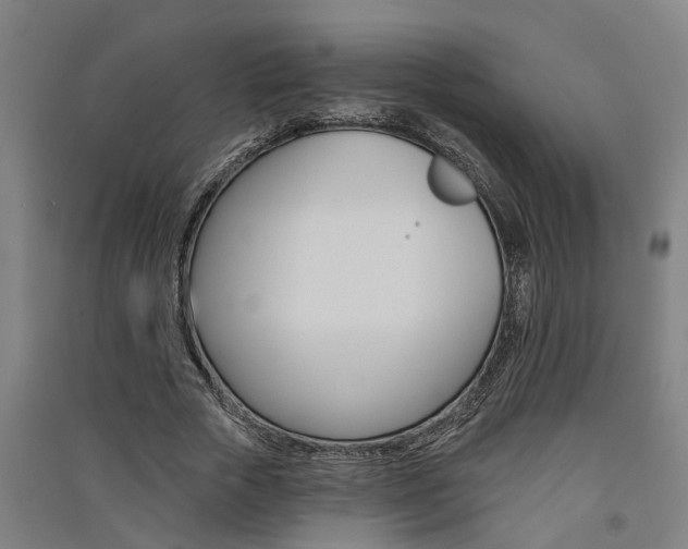 X0000091580729200708201013