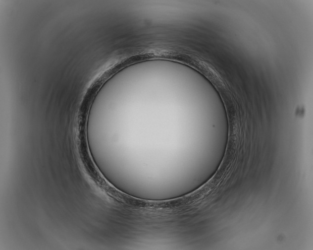 X0000091580730200708201013