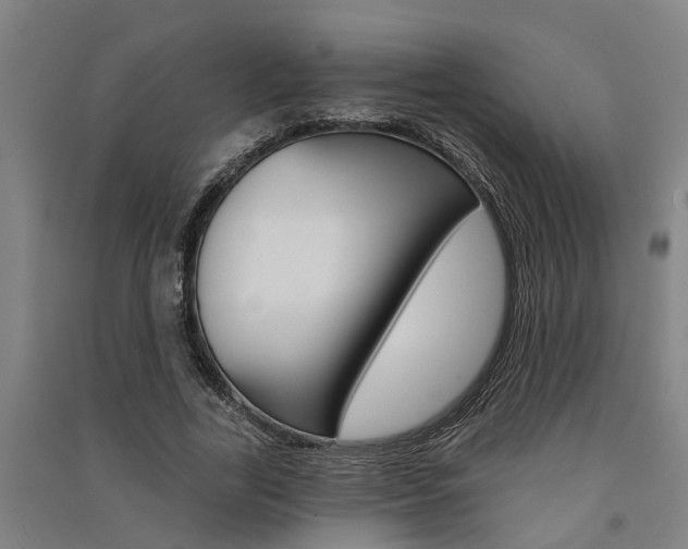 X0000091580731200708201013