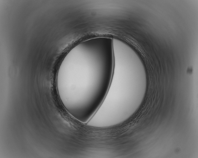 X0000091580732200708201013