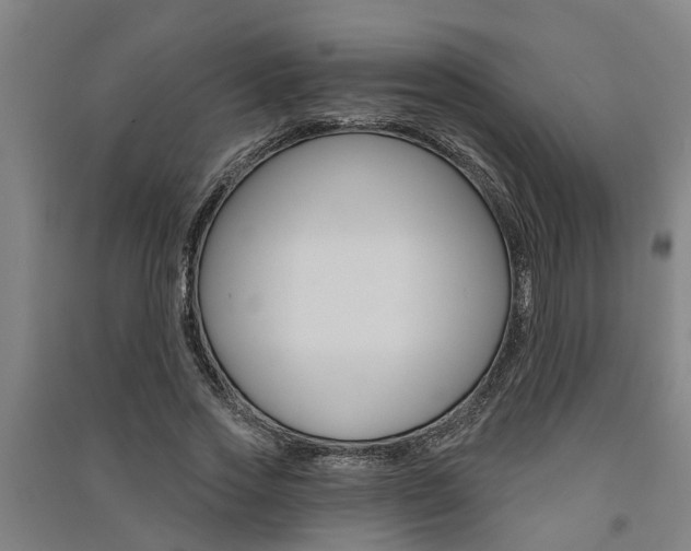 X0000091580733200708201013