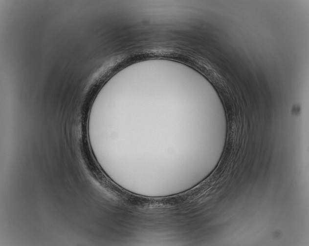 X0000091580734200708201013