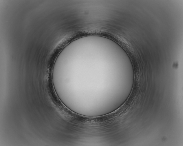 X0000091580735200708201013