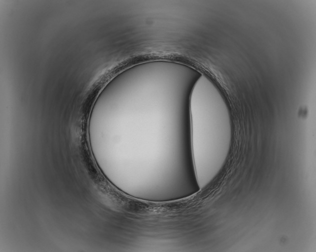 X0000091580736200708201013