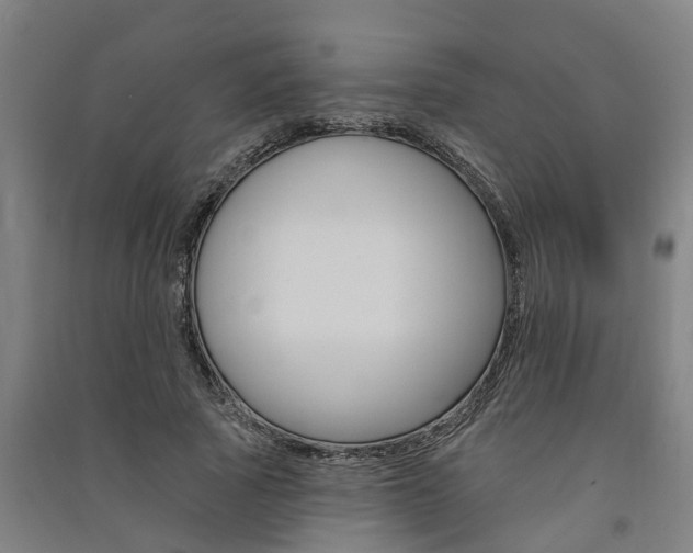 X0000091580737200708201013