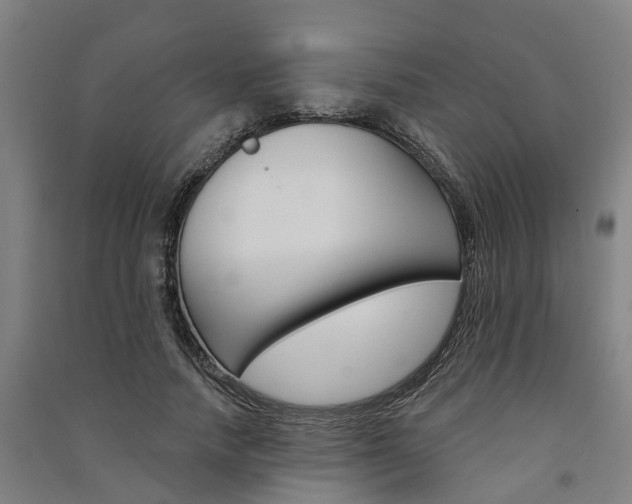 X0000091580738200708201013