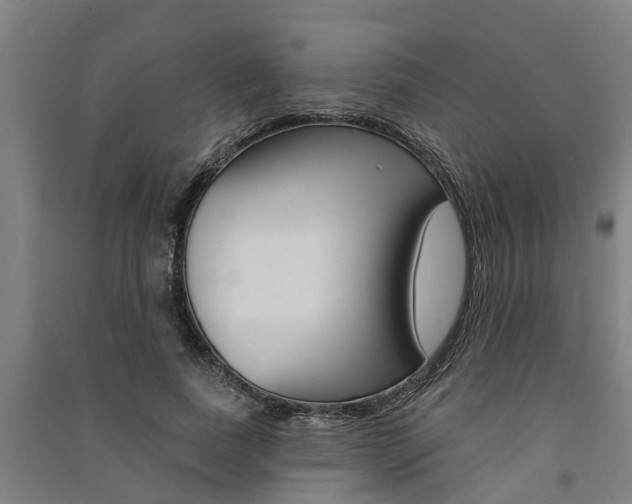 X0000091580739200708201013