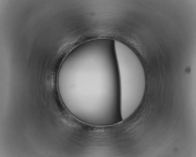 X0000091580740200708201013