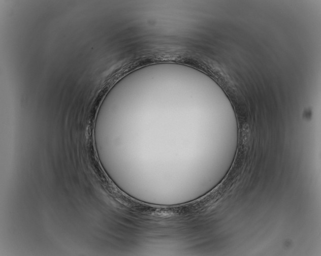 X0000091580741200708201013