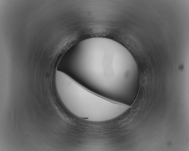 X0000091580742200708201013