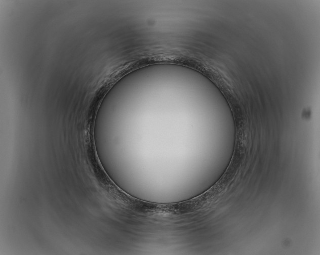 X0000091580743200708201013