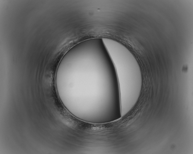 X0000091580744200708201013
