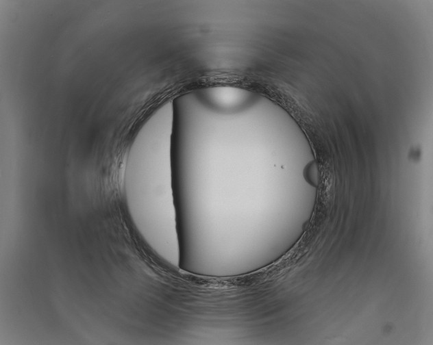 X0000091580745200708201013
