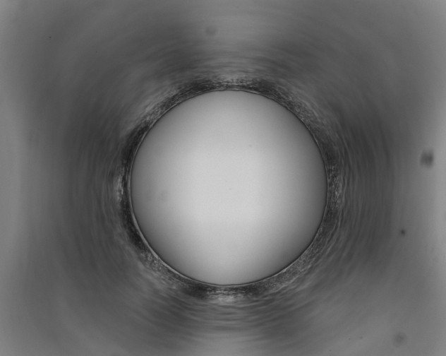 X0000091580746200708201013