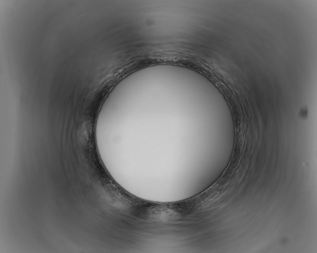 X0000091580747200708201013