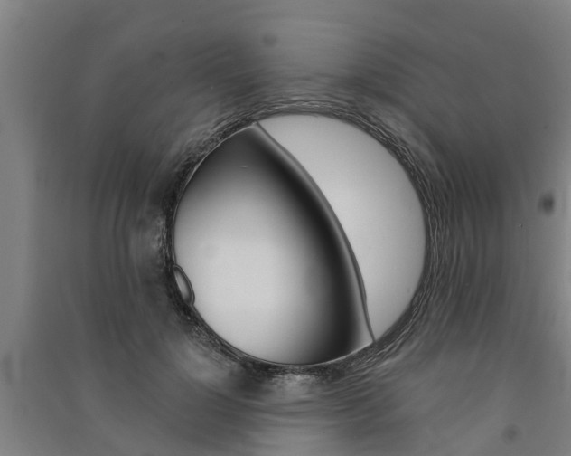 X0000091580748200708201013