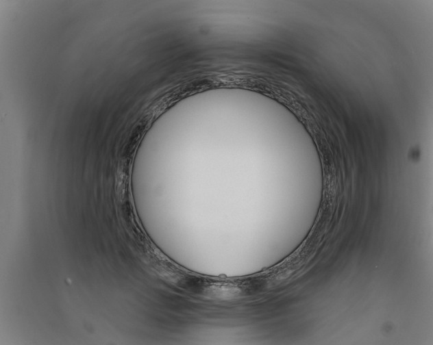 X0000091580749200708201013