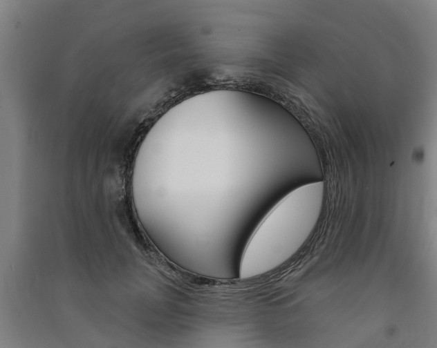 X0000091580751200708201013