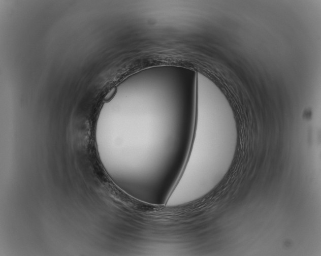 X0000091580752200708201013