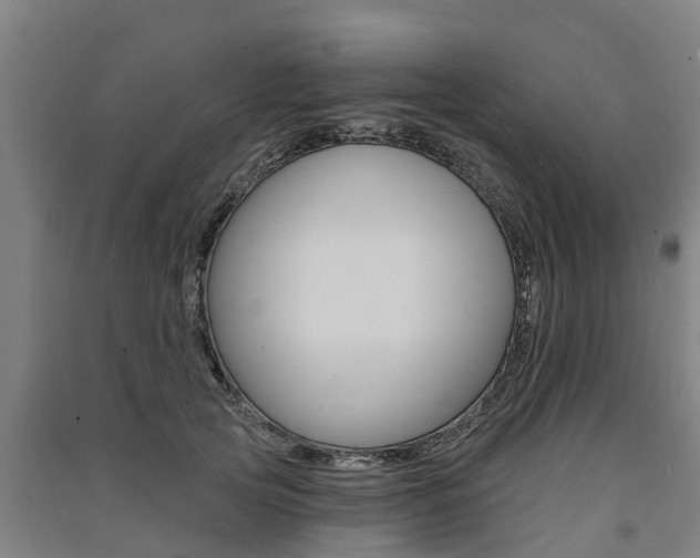 X0000091580753200708201013