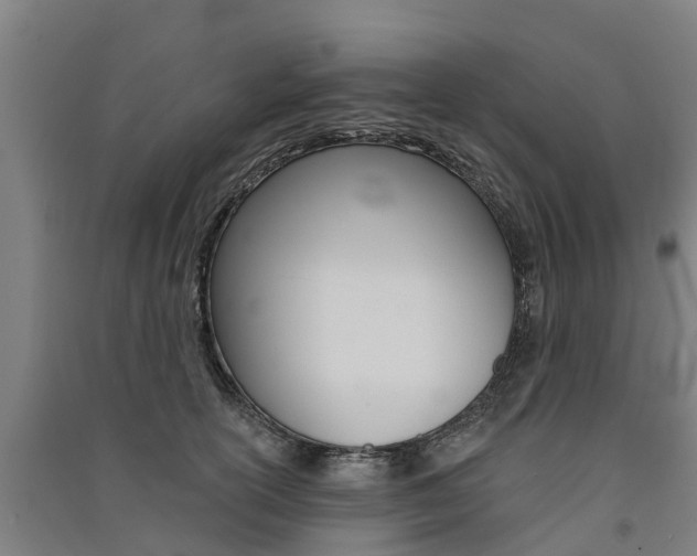 X0000091580754200708201013