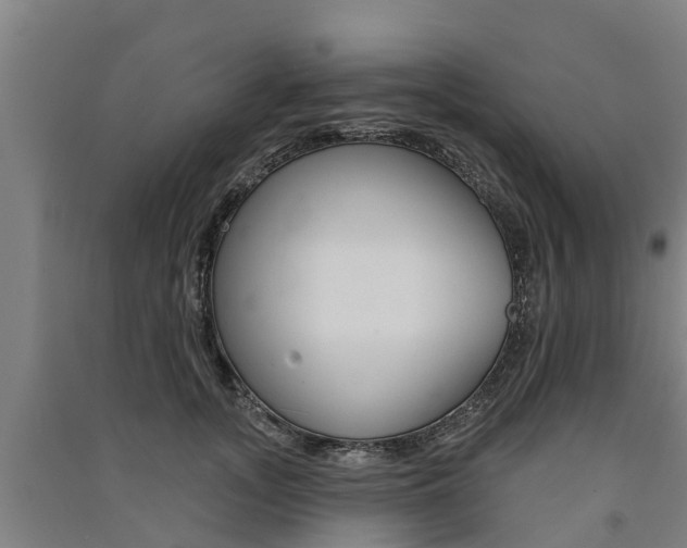 X0000091580755200708201013
