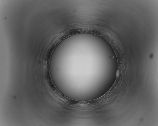 X0000091580756200708201013