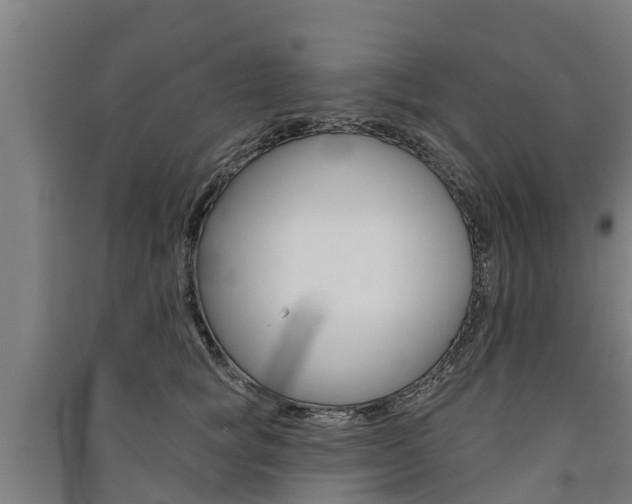 X0000091580757200708201013