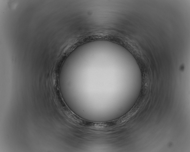 X0000091580758200708201013