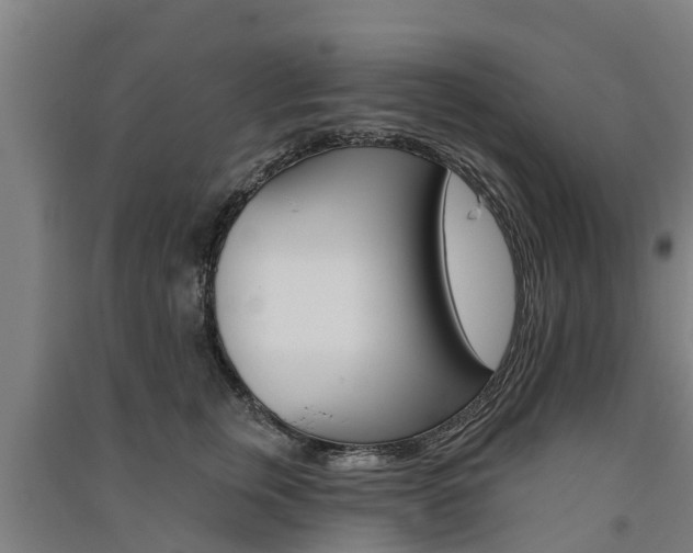 X0000091580759200708201013
