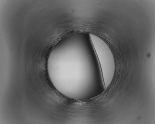 X0000091580760200708201013