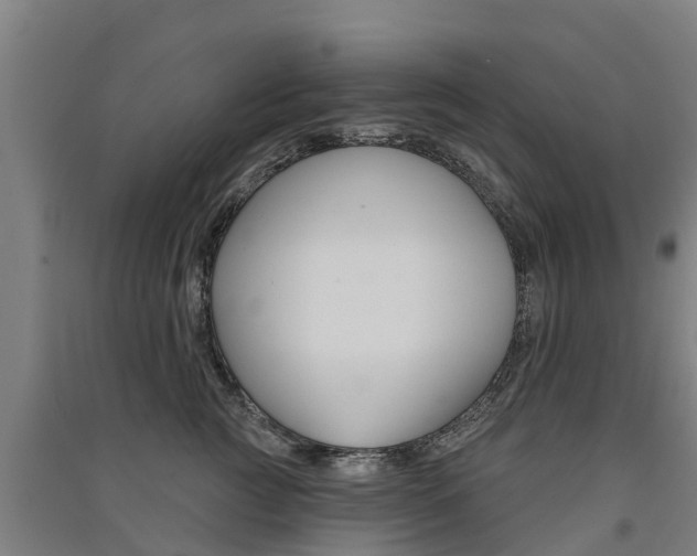 X0000091580761200708201013