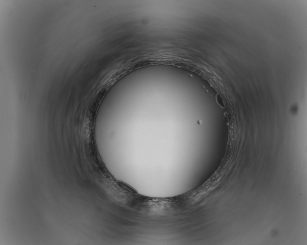 X0000091580762200708201013