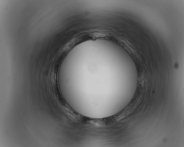 X0000091580763200708201013