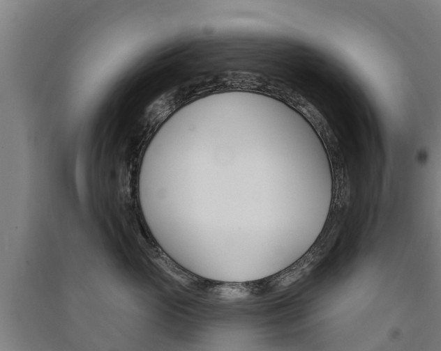 X0000091580765200708201013