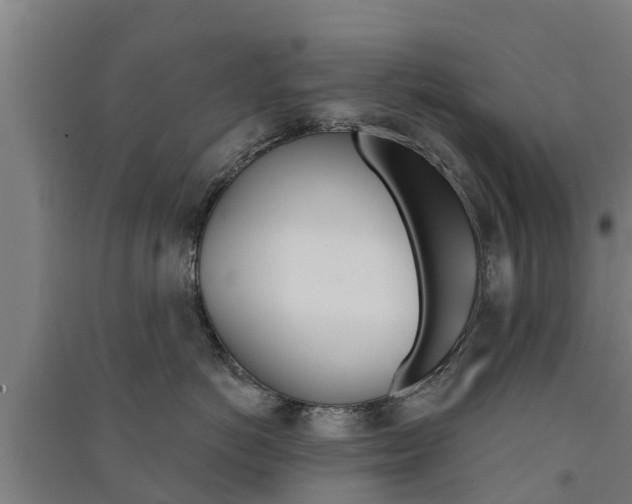 X0000091580766200708201013