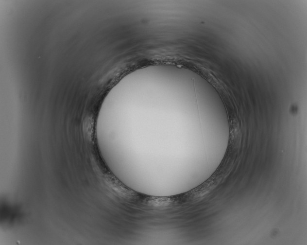 X0000091580767200708201013