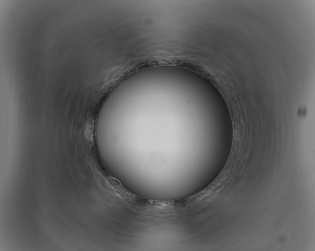 X0000091580768200708201013