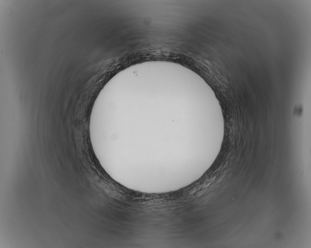 X0000091580769200708201013