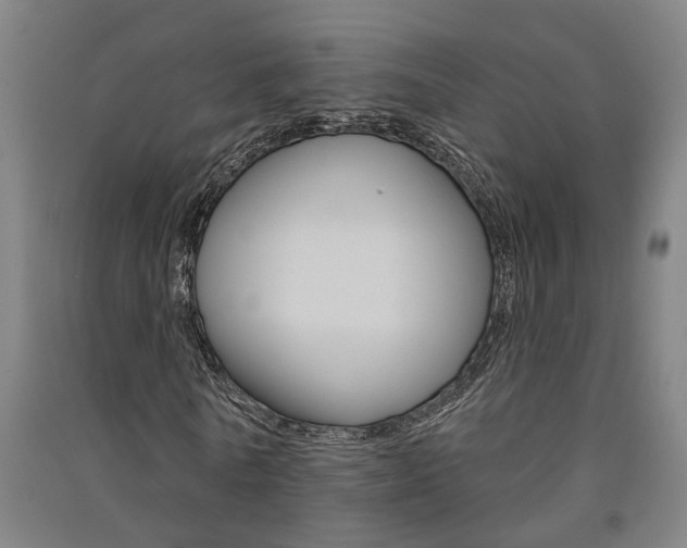 X0000091580770200708201013