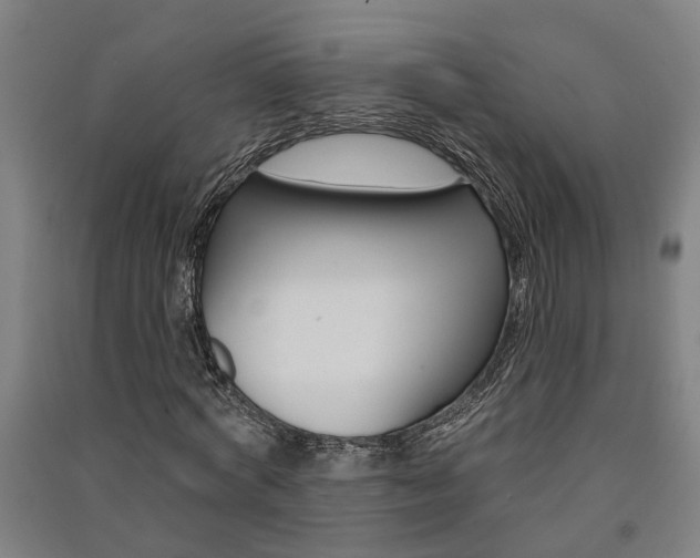 X0000091580772200708201013