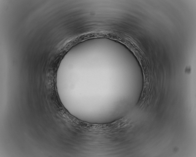 X0000091580773200708201013