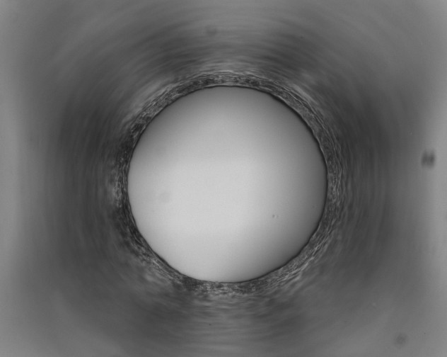 X0000091580774200708201013