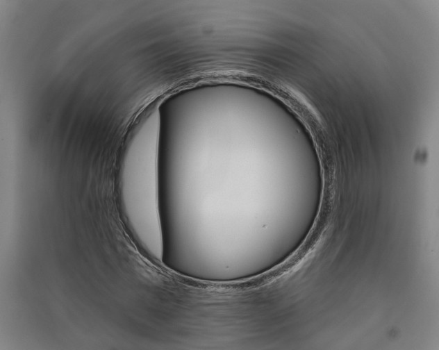 X0000091580777200708201013