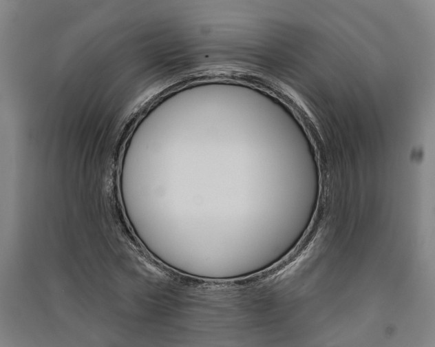 X0000091580778200708201013